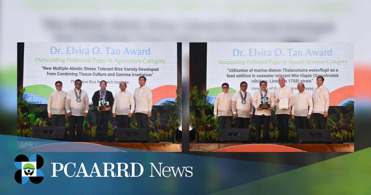 Papers on climate-resistant rice variety and marine diatom as a feed additive in seawater-tolerant Nile tilapia win Dr. Elvira O. Tan Award